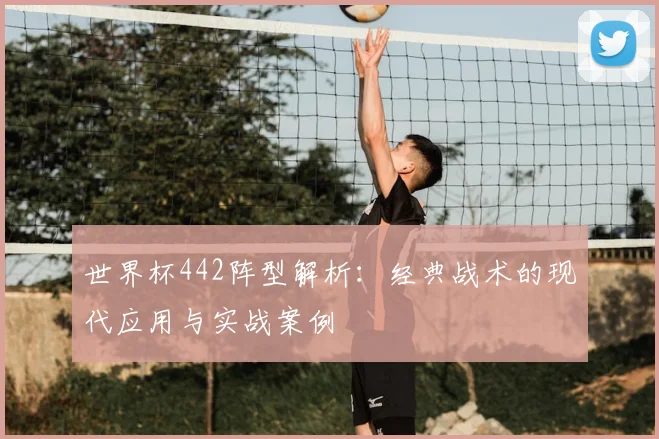 世界杯442阵型解析：经典战术的现代应用与实战案例