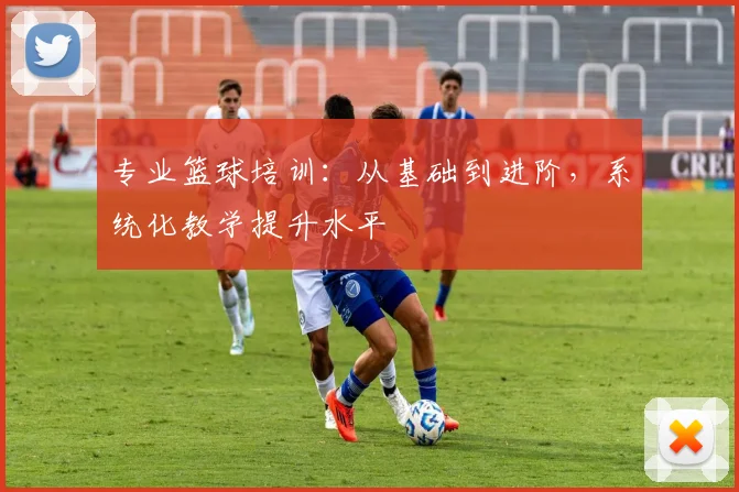 专业篮球培训：从基础到进阶，系统化教学提升水平